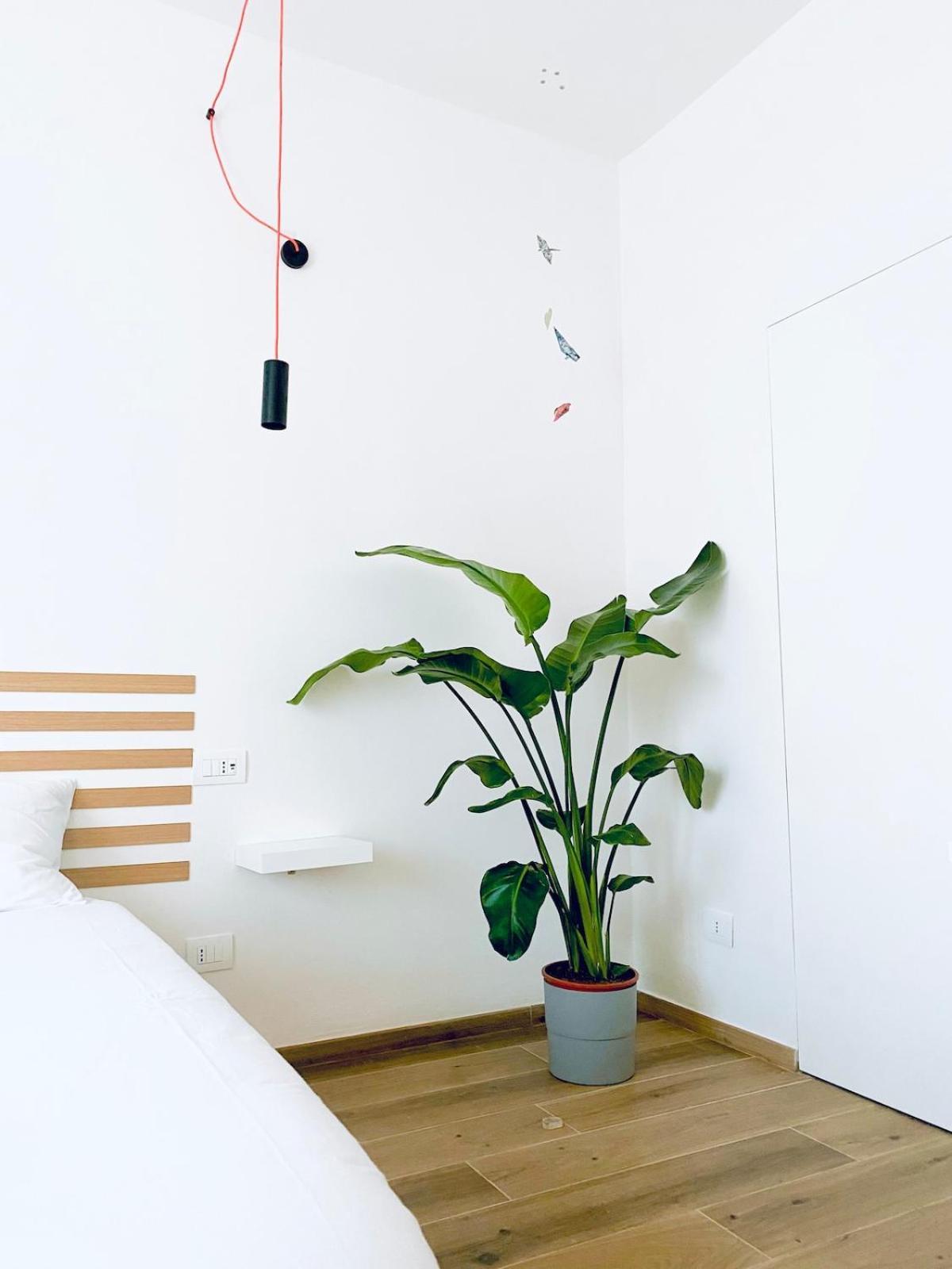 M4 White Monolocale Moderno E Funzionale Apartment Скандичи Екстериор снимка